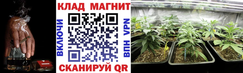 Где купить Бор Бошки Шишки  Мефедрон  Кокаин  ГАШ 