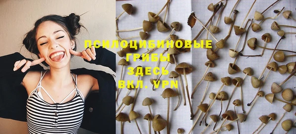 синтетический гашиш Баксан