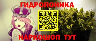 PSILOCYBIN Протвино