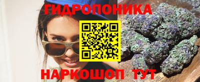 альфа пвп Прокопьевск