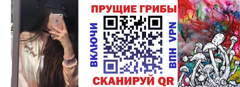 Галлюциногенные грибы прущие грибы  Бор 