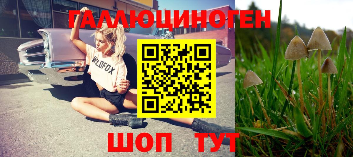 Галлюциногенные грибы мухоморы Бор